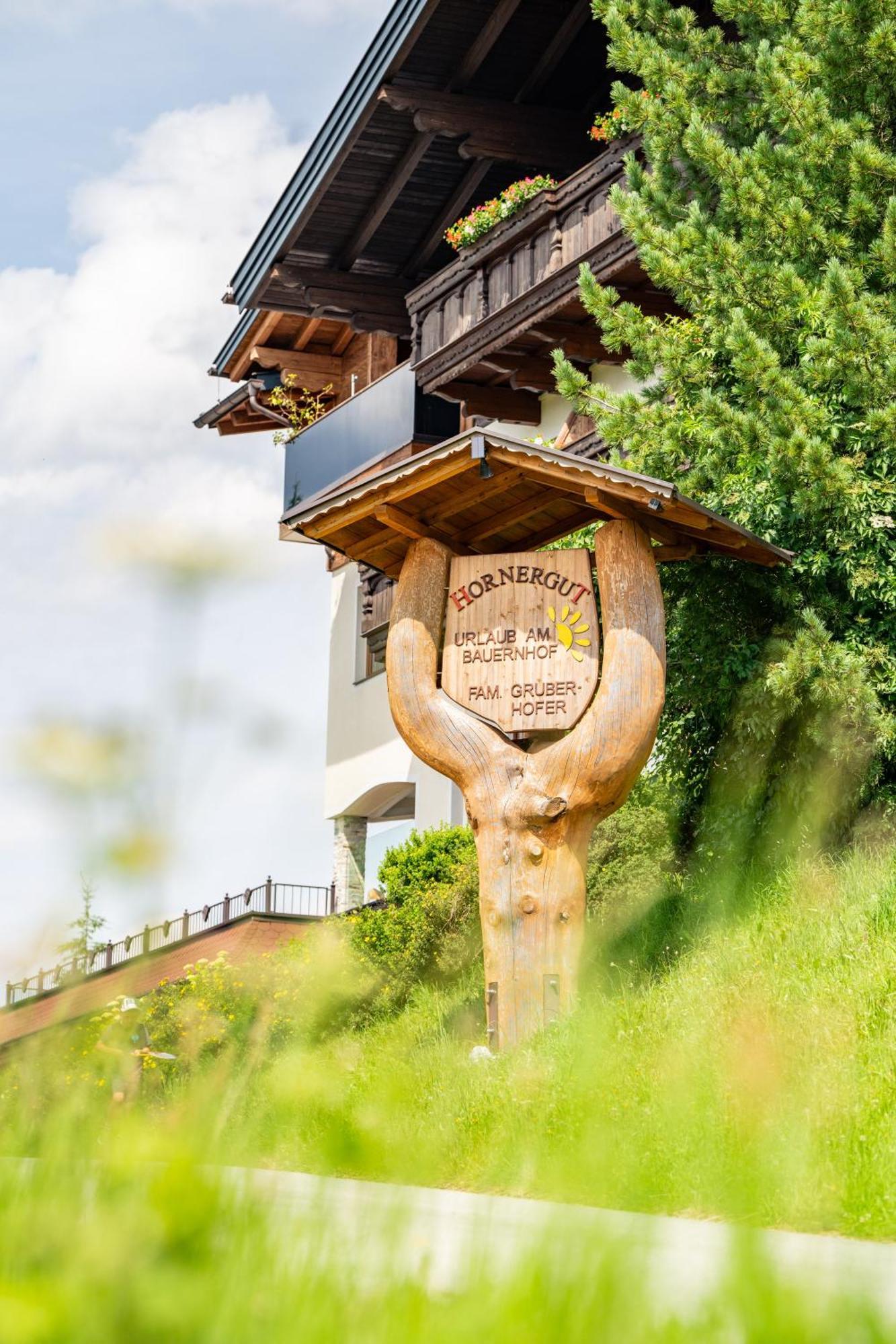 Hornergut Appartement Altenmarkt im Pongau Buitenkant foto