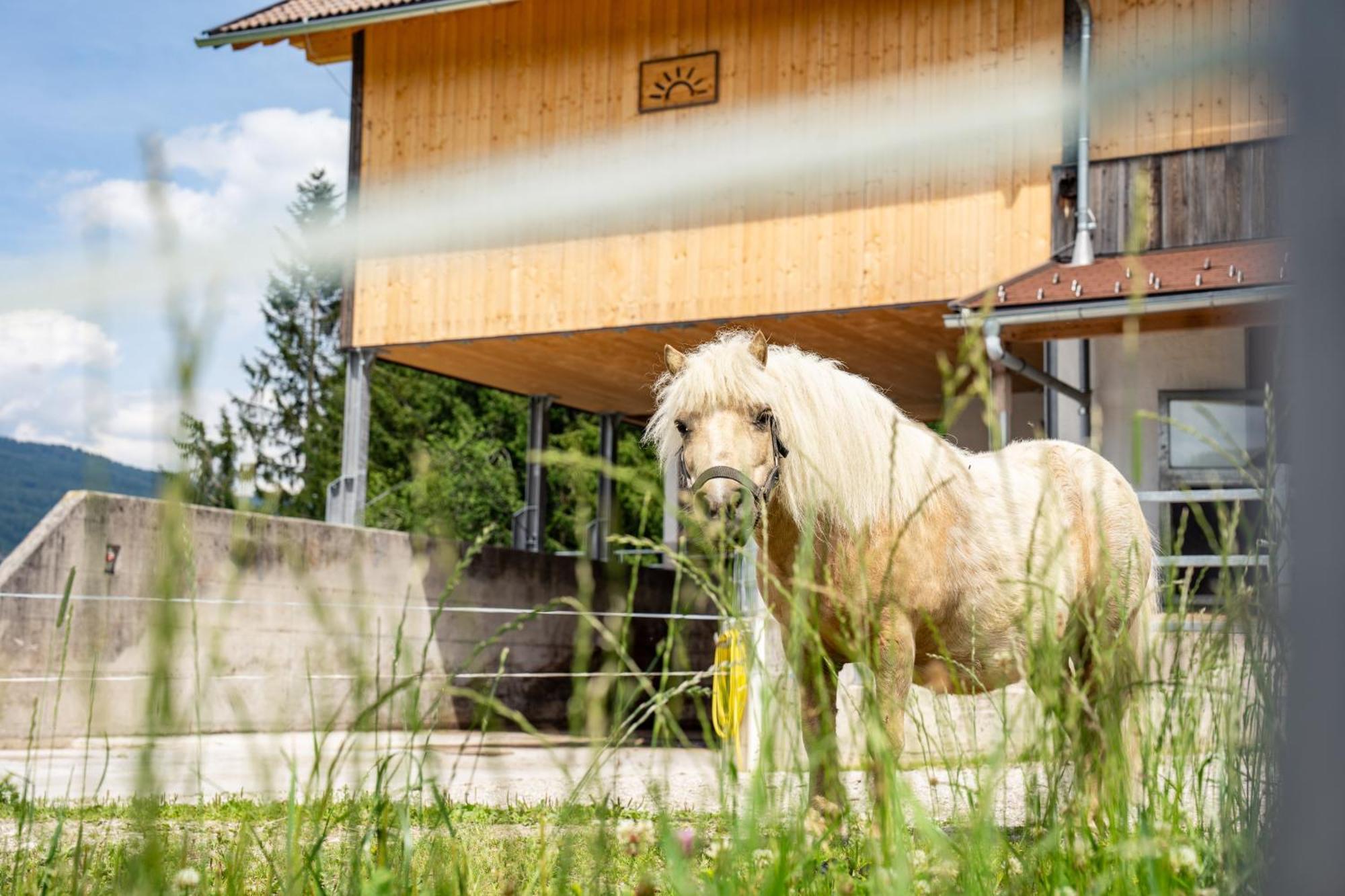 Hornergut Appartement Altenmarkt im Pongau Buitenkant foto