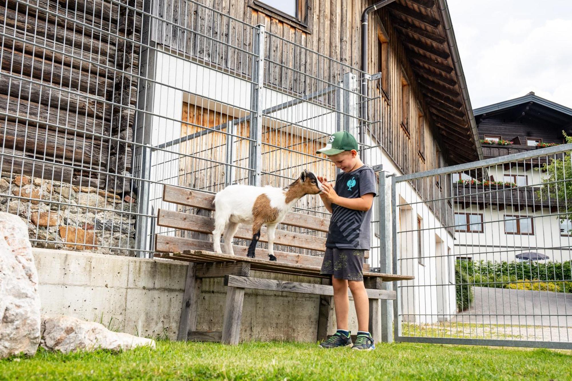 Hornergut Appartement Altenmarkt im Pongau Buitenkant foto